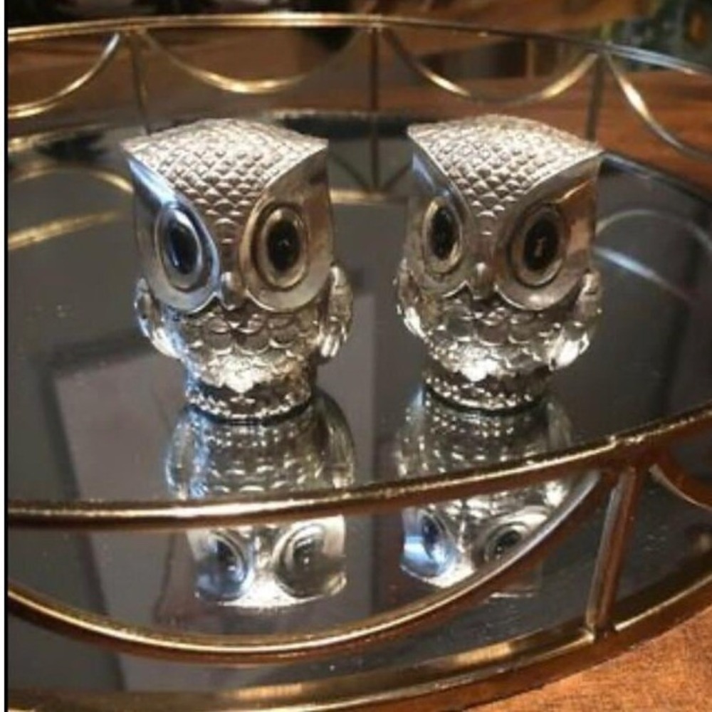 Vintage Taiyoh Importing Co Silver Owl Salt and Pepper Shakers Japan Mid Century